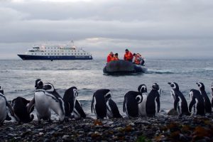 C Australis desembarque Isla Magdalena