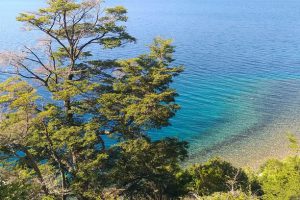 Parque Nacional Patagônia – Carretera Austral