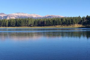 Parque Nacional Patagônia – Carretera Austral