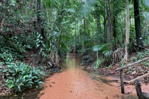 Chapada das Mesas Segredo