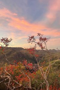 Trilhas nas Chapada dos Veadeiros