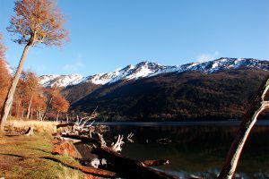 El Calafate Patagônia Argentina