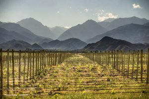 Mendoza: Experiência em Glamping