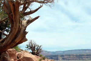 Parque Nacional Grand Canyon