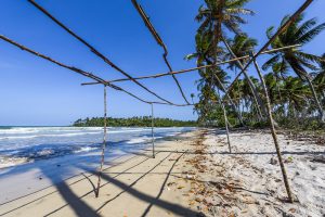 Ilha de Boipeba