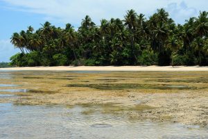 Ilha de Boipeba