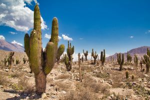 Jujuy, Argentina