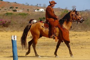 Sertão Nordeste