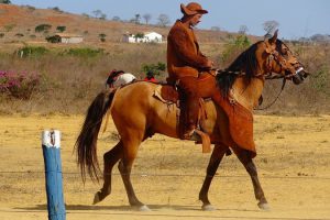 Sertão Nordeste