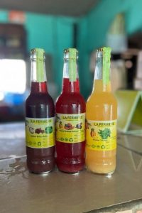 Viajando por Benin - 3º Dia: Ganvie