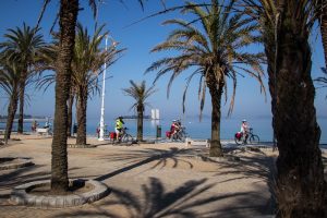 Bike Santiago de Compostela: Caminho Português