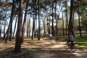 Bike Santiago de Compostela: Caminho Português