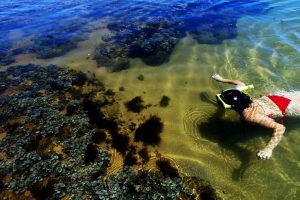 Ilha de Boipeba e Península de Maraú