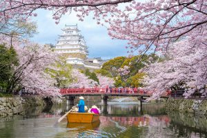 Cerejeiras no Japão