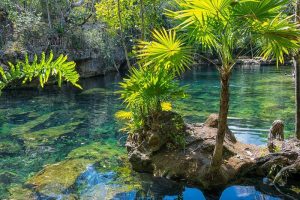 Cenote Yucatán México