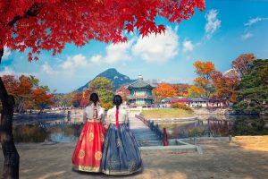 Festival das Cerejeiras na Coreia do Sul