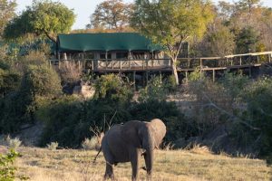 Deteema-Springs-Camp-Zimbabue3-galeria80