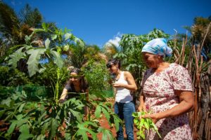 Turismo de Base Comunitária: Encantos da Chapada Diamantina