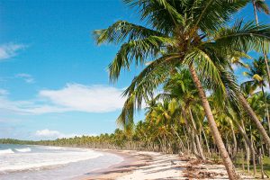 Ilha de Boipeba, uma das 5 ilhas mais paradisíacas