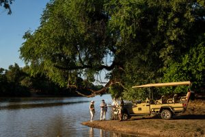 Ingwe-Pan-Mana-Pools-Zimbabue3-galeria80