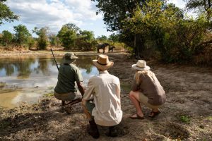 Ingwe-Pan-Mana-Pools-Zimbabue4-galeria80
