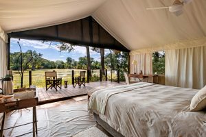 Ingwe-Pan-Mana-Pools-Zimbabue5-galeria80