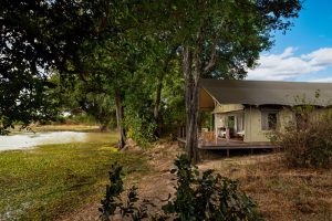 Ingwe-Pan-Mana-Pools-Zimbabue6-galeria80