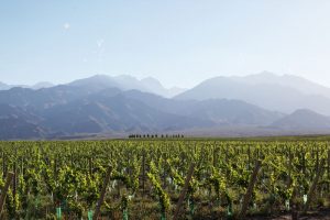 Mendoza Casa de Uco, Argentina