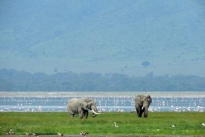 Ngorongoro, Tanzânia