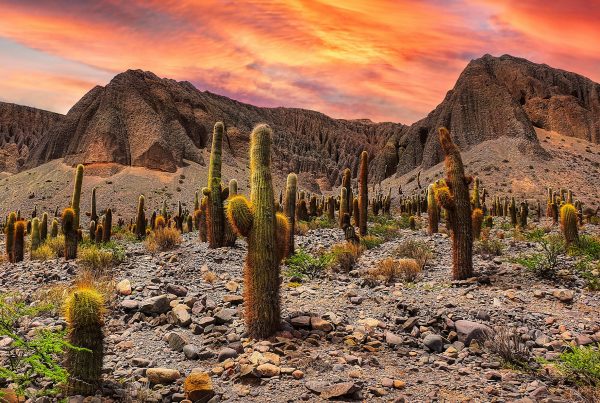 O que fazer em Salta e Jujuy: experiências culturais autênticas