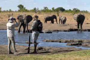 Experiências no Zimbábue - Somalisa Expeditions