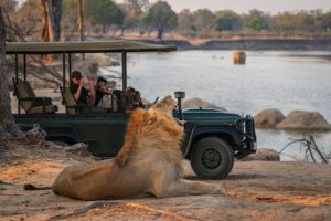 South-Luangwa-Zambia2-galeria80