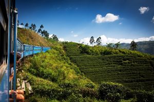 Tea Trails, Sri Lanka