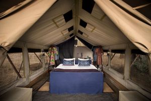 Experiências no Zimbábue - Zambezi Expeditions