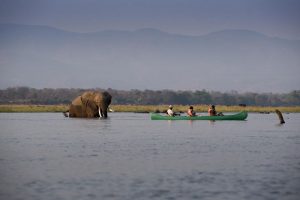 Experiências no Zimbábue - Zambezi Expeditions