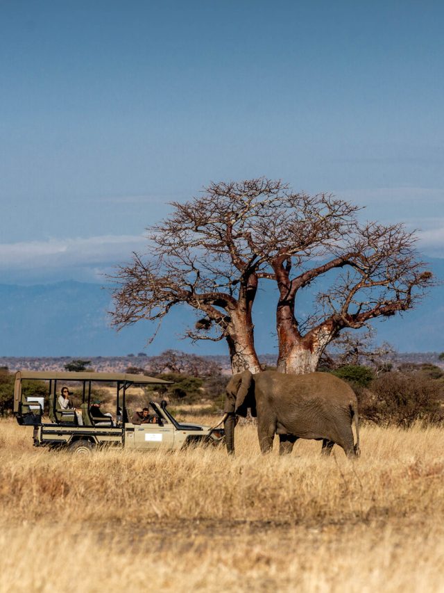 cropped-Nimali-Tanzania6-topo.jpg