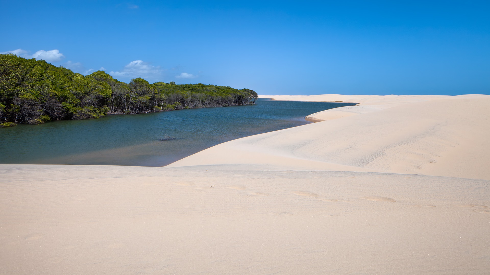 Rota das emoções é o melhor passeio no Delta do Parnaíba?