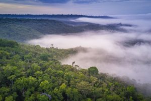 Amazonia-Amazon-Glamping3-galeria80