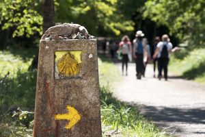 Caminho de Santiago de Compostela