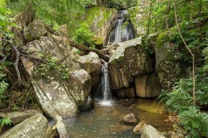 chapada dos veadeiros galeria