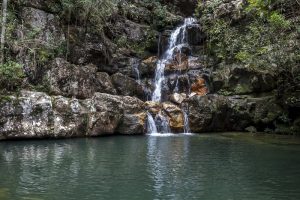 chapada dos veadeiros galeria