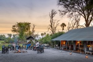 Gomoti-Plains-Botswana3-galeria80
