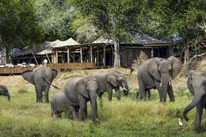 namibia galeria