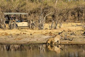 Machaba-Camp-Botswana5-galeria80