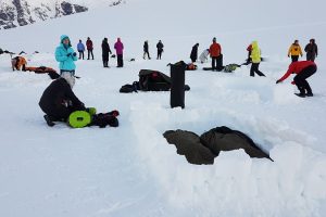 Roteiro Antártica Basecamp – M/V Hondius