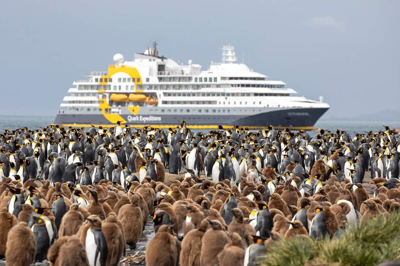 Expedição polar com a Quark Expeditions