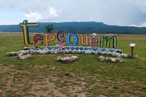 Rota 174: Tepequem