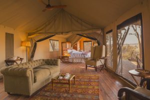 Verneys-Camp-Zimbabue3-galeria80
