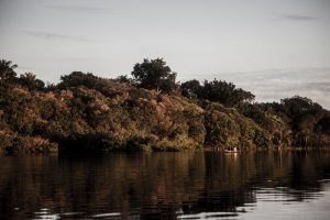 rio negro amazonia galeria