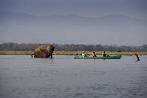 botsuana galeria